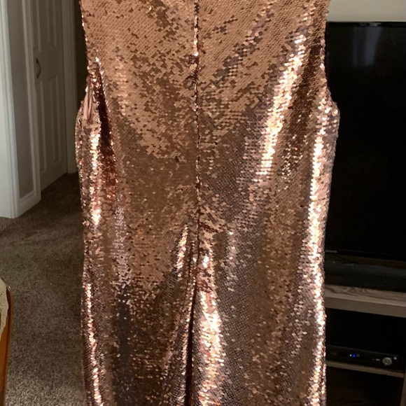 BB Dakota Dress new with tags - Picture 2 of 2